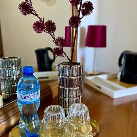兹盘斯奇酒店 酒店 Woszczyce
