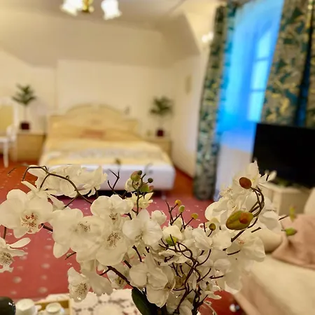 Hotel Dwor Szczepanskich